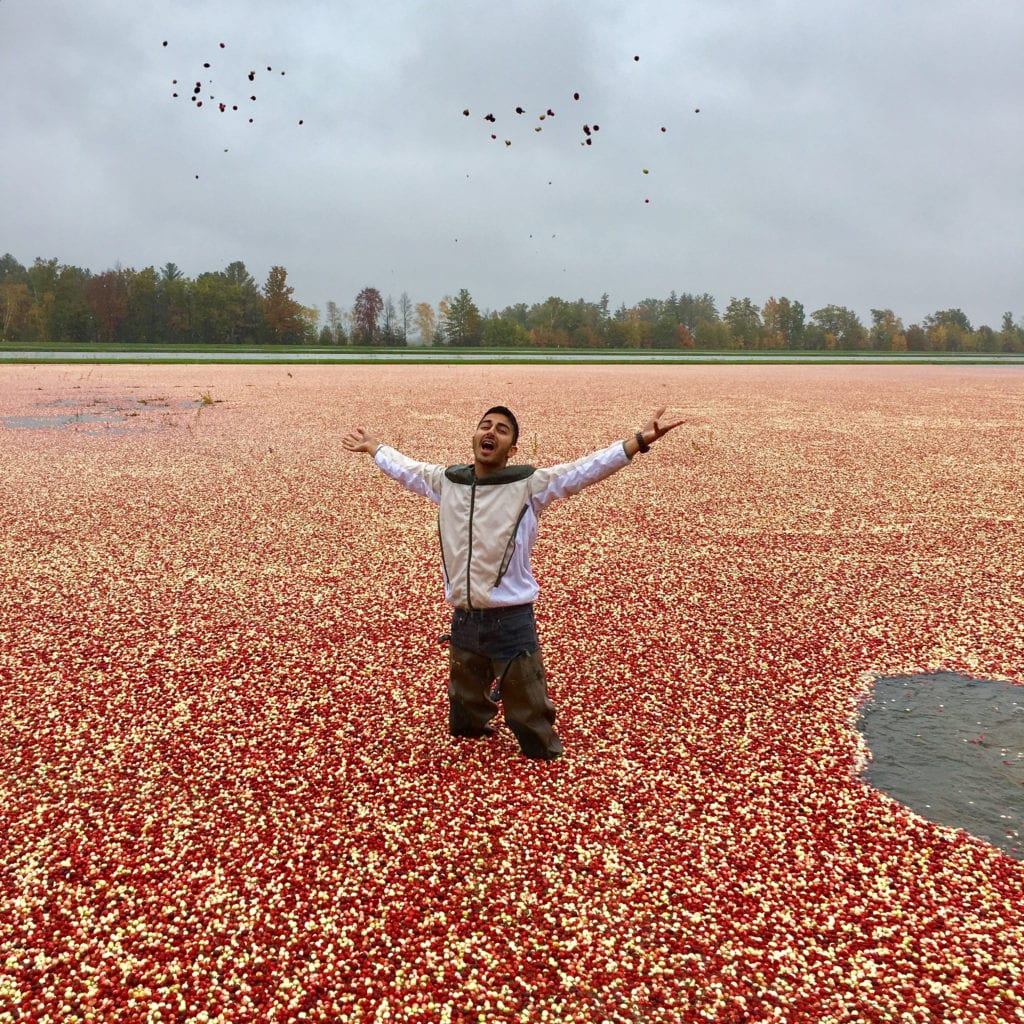 Wisconsin Cranberries