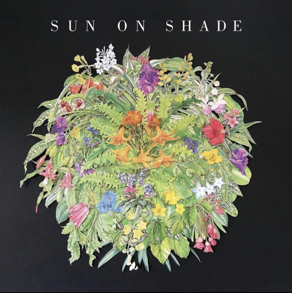 Heath Fogg – Sun on Shade - 360 MAGAZINE - GREEN | DESIGN | POP | NEWS