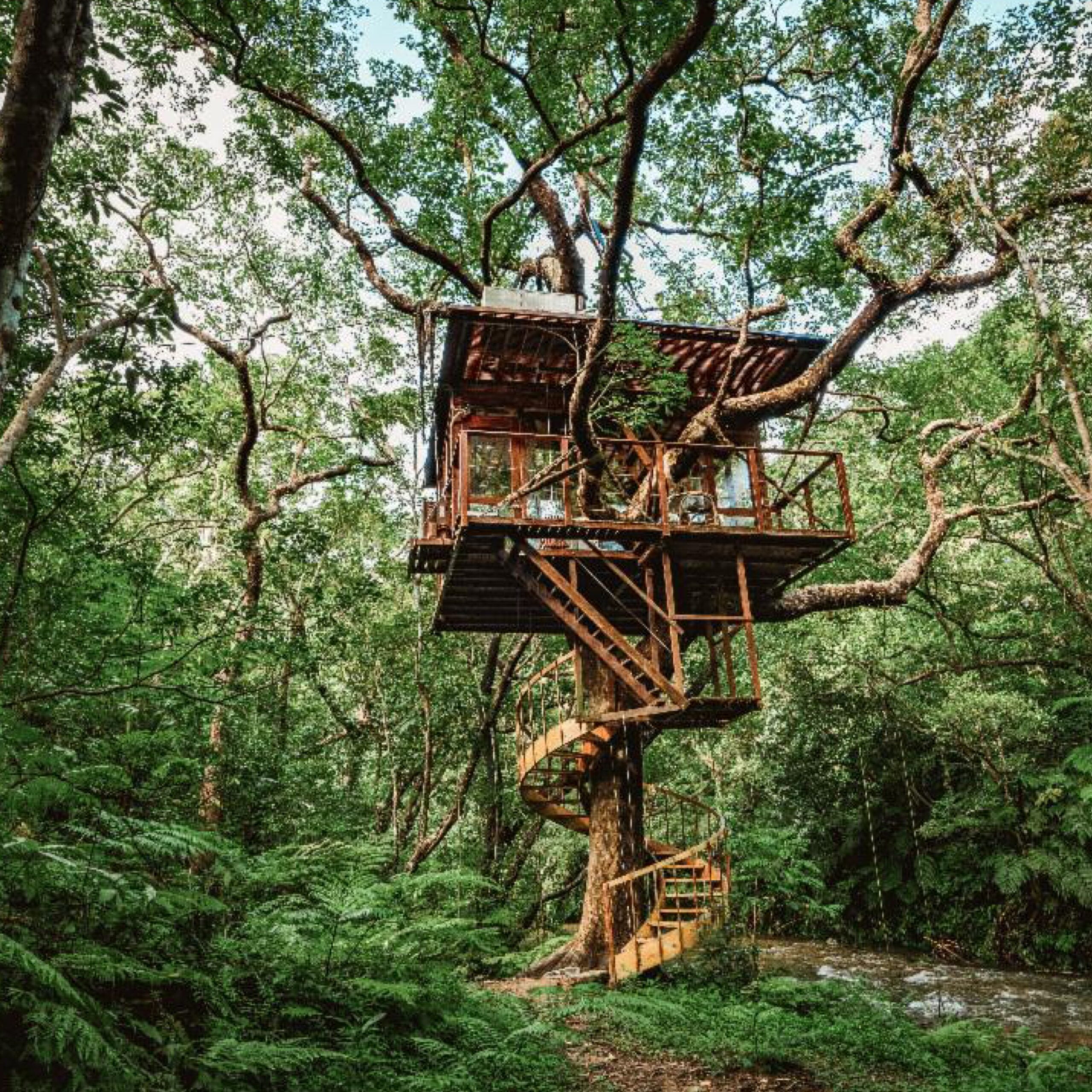 Treeful Treehouse EcoResort in Okinawa (© Treeful Treehouse EcoResort), Geoffrey Weill Associates, and Japan National Tourism Organization for 360 Magazine