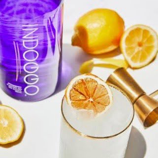 =INDOGGO Long Beach Lemonade recipe via Elena Sheridan at Fingerprint Communications for use by 360 Magazine