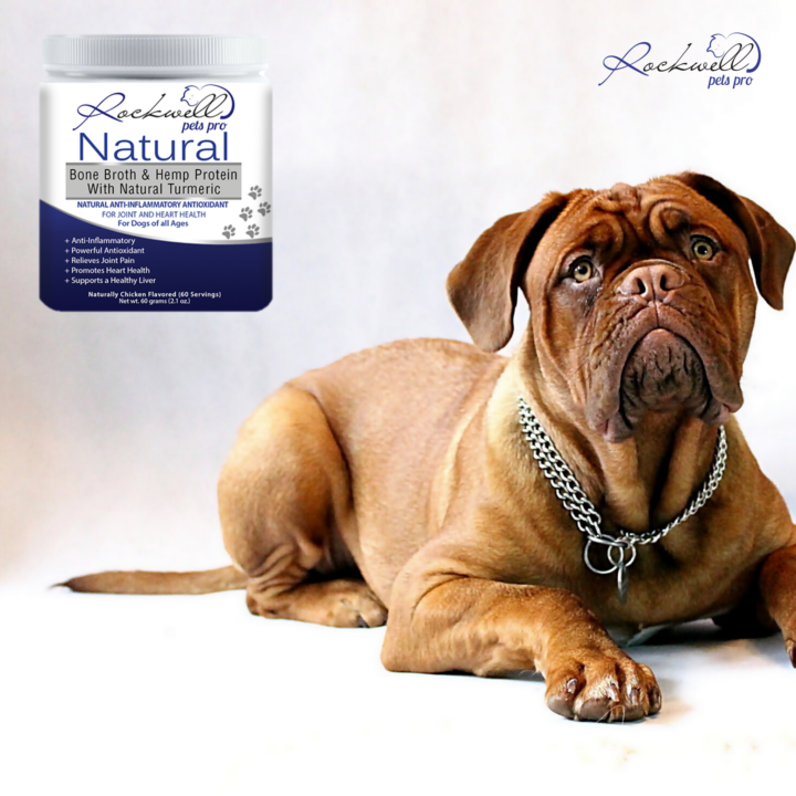 Rockwell Pets Pro Natural Dog Bone Broth via Maggie Douglas at Everything Branding for use by 360 Magazine