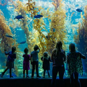 by Birch Aquarium for use by 360 Magazine