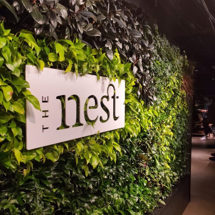 The Nest Seattle image via Patrick Thomas Cooper for use by 360 Magazine