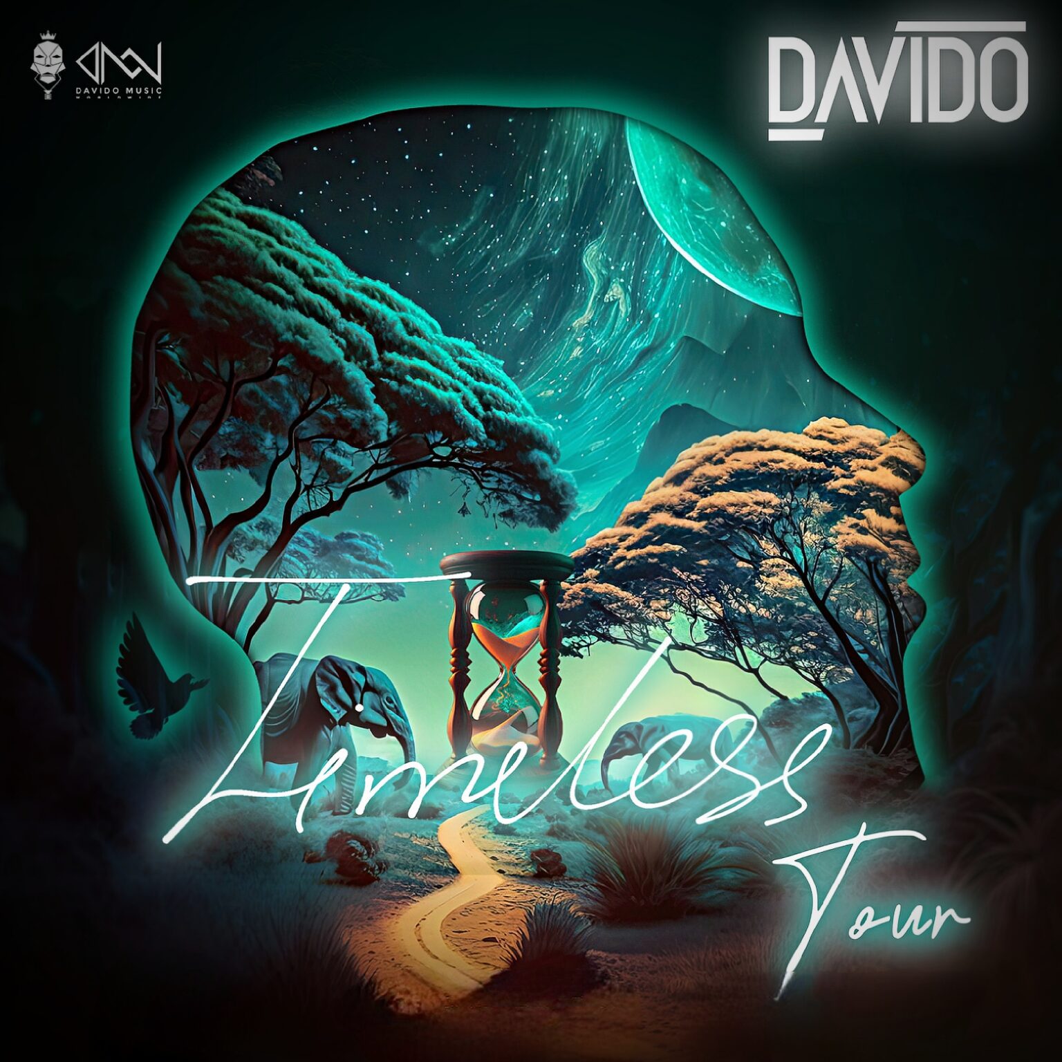 Davido Timeless Tour 360 MAGAZINE GREEN DESIGN POP NEWS