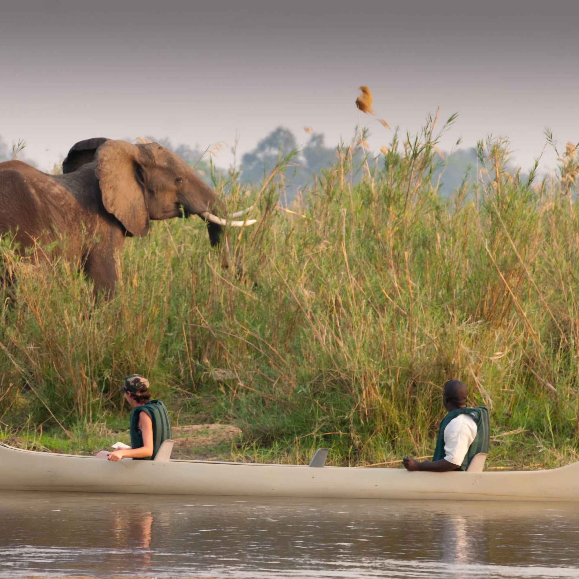 Zambia is for safari lovers via 360 MAGAZINE. 